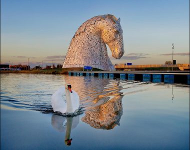 The Kelpies with a swan
