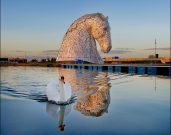 Proud Sponsor of the Kelpies 10 Celebration